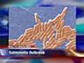 Family Health: Salmonella Outbreak