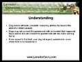 Labrador Training: Discipline Your Dog Instead Of Punishing Him