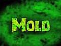 How to Keep Mold Out of Your House