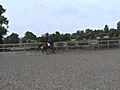 Horse and Hound Competition