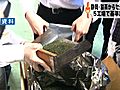 静岡市の藁科地区にある5カ所の製茶工場で国の規制値を超える放射性セシウム検出