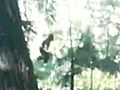 Finding Bigfoot: Spokane Bigfoot Sighting a Hoax?