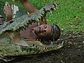 Man Wrestles Crocodile