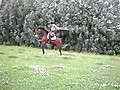 Rope Jumping Horse