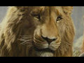 Animating Aslan