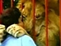 A lion hugs his rescuer
