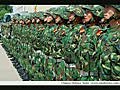 Montage of PRC Chinese Forces in Training:  Hidden Dragon