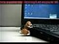 USB Humping Dog