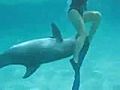 Girlfriend Gets Harassed By Dolphin