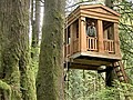 Tree houses get tricked out