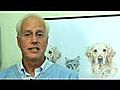 Bruce Fogle gives cat owners expert tips on how to avoid going to the vets