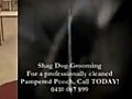 Shag Dog Grooming Perth