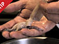 CHOW Tip: How to Clean Squid