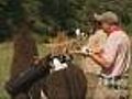 See Another Good Use For Llamas