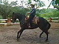 Royalty Free Stock Video SD Footage Mexican Cowboy on a Horse Doing Tricks at a Ranch in Puerto Vallarta,  Mexico