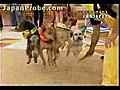 Jump rope dogs