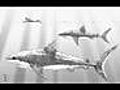 MEGALODON-prahistorický žralok