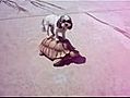 Un chien fait du skate sur une tortue