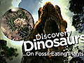 Dinos: On Fossil-Eating Plants