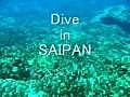 Dive in SAIPAN (2008.11.18)