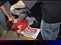 Moment of Zen - Rand Paul Supporter Stomps on Protester