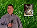 Cat Scratch Disease - Healthy Kid Tips .com