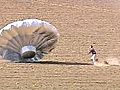 RAW VIDEO: Runaway balloon in Colorado