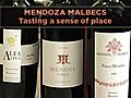 Mendoza Malbecs: Tasting a Sense of Place