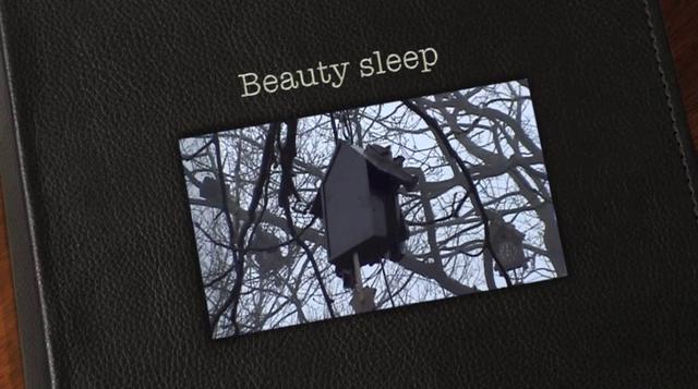 Beauty sleep