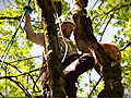 Must Love Cats: 4. Dan the Tree Climber