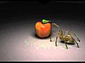 Spider and apple.mpg