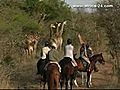 South Africa - Kwa Zulu Natal - Pakamisa Lodge & Horseback Safari