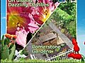 Garden Travels On display,  Dazzling Daylilies Cornerstone Gardens