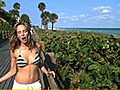 Delphine Tours Miami Beach