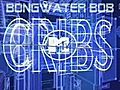 MTV CRIBS Bongwater Bob Edition               // video added February 27,  2010            // 0 comments             //                             // Embed video: