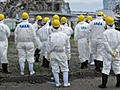 JAPAN: IAEA: Japan underestimated nuclear plant tsunami risk