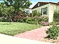 Hollywood resident in hot water over xeriscaping