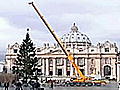 Llega árbol de Navidad al Vaticano