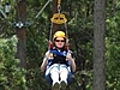 Flying through tree tops