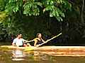 Lost in the rainforests of Borneo