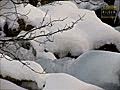 Schnee und Eis in Tirol - Snow and Ice in Tyrol,  Austria