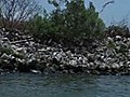 Texas conservationists rebuilding lost islands