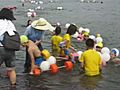 수영으로 한강을 횡단한 초등학생들