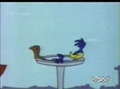 Road Runner & Wile E Coyote  - Chaser On The Rocks 35/43