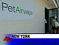 Paws Up: All-pet Airline Hits Skies