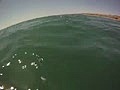 Shark Checks Out Guy On Surfboard