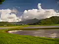 Royalty Free Stock Video SD Footage Static Shot of Taro Fields and Mountain Range in Kauai,  Hawaii