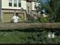 Storm Clean Up In Long Island