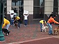 Humane Society Flash Mob - Animal Cruelty Prevention Month [HD]