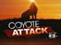 Rye Residents On Edge After Second Coyote Attack